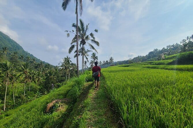 Lemukih Hidden Trekking Waterslide Sekumpul and Fiji Waterfall - The waterslide part: fun, but it’s handled the right way