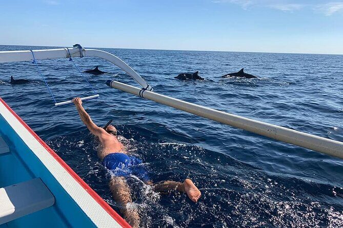 Lovina Dolphin Watching, Swimming, and Snorkeling Experience - Key things to know before you go