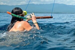 Lovina Dolphin Watching, Swimming, and Snorkeling Experience - Pickup and Getting to Lovina Beach Without Stress