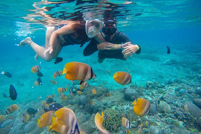 Lovina Dolphin Watching, Swimming, and Snorkeling Experience - The Lake Bratan Temple Stop: Nice Optional Flavor, Not the Main Event