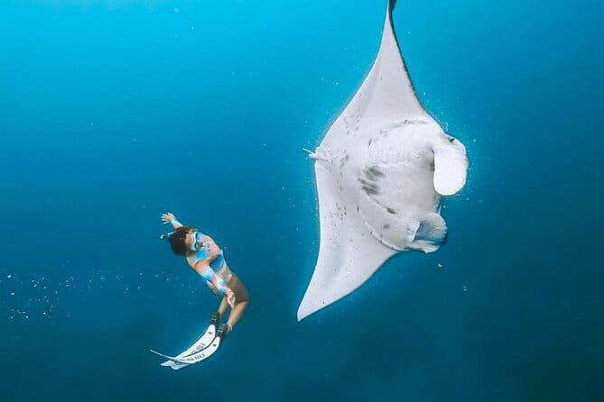 Manta Point Snorkeling & West Nusa Penida Island Day Tour - Key highlights worth planning for