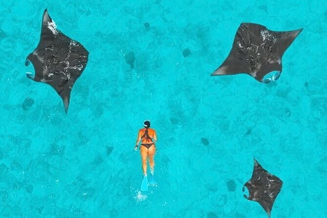 Manta Point Snorkeling & West Nusa Penida Island Day Tour - Manta Point snorkeling on Nusa Penida: the giant-manta reason to go