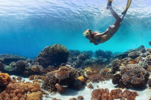 Manta Point Snorkeling & West Nusa Penida Island Day Tour - Kelingking Beach: the iconic cliff view that earns its hype