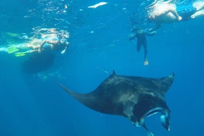 Manta Point Snorkeling & West Nusa Penida Island Day Tour - Angel’s Billabong: volcanic rock meets a natural infinity pool