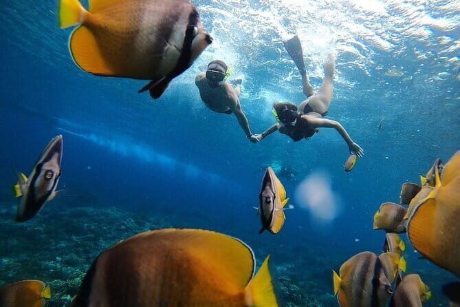Manta Point Snorkeling & West Nusa Penida Island Day Tour - Broken Beach + Angel’s Billabong area: the cove with the arch opening