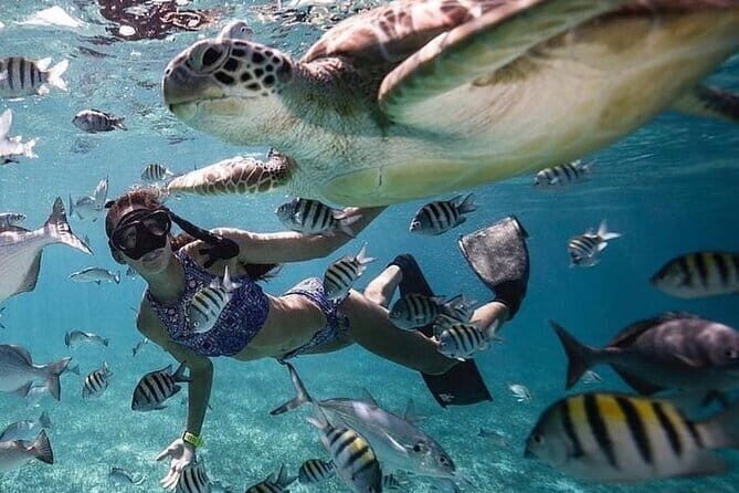 Manta Point Snorkeling & West Nusa Penida Island Day Tour - Price and value: what $45.87 buys you (and why it can be worth it)