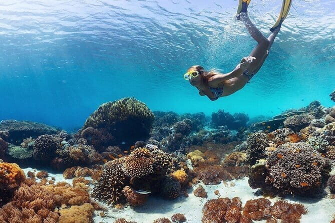 Manta Point Snorkeling & West Nusa Penida Island Day Tour - Kelingking Beach: the iconic cliff view that earns its hype