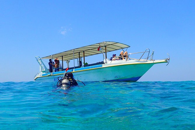 Menjangan island for Certified Scuba Divers full day boat trip, 2 dives + lunch - Menjangan Marine Park: why this “Deer Island” trip feels worth the boat ride