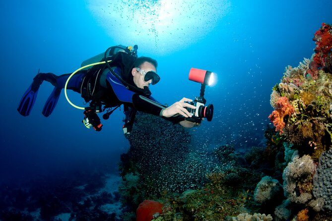 Menjangan island for Certified Scuba Divers full day boat trip, 2 dives + lunch - Guides and safety: what their style seems to be like in real life