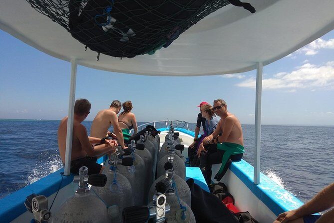 Menjangan island snorkeling full day boat trip - Menjangan Island from Pemuteran: quick boat time, real snorkeling time