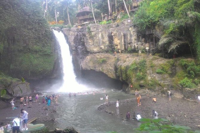 Monkey Forest, Ubud, Waterfall and Rice Terrace - Tegalalang Rice Terraces: the view is the point, but timing helps