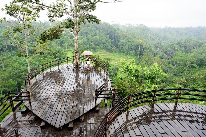 Monkey Forest, Ubud, Waterfall and Rice Terrace - Happy Swing Bali: fun photos, harness rules, and schedule math