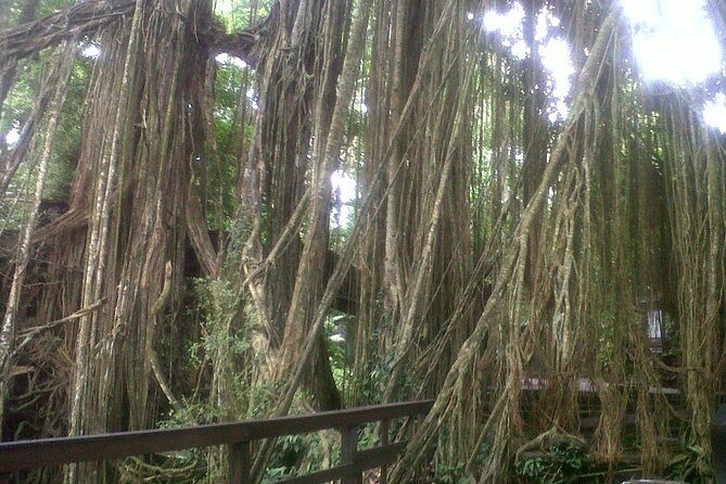 Monkey Forest, Ubud, Waterfall and Rice Terrace - Ubud Art Market and Celuk Village: buy craft without feeling rushed