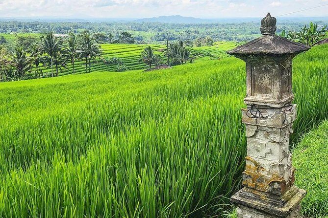 More Complete: Discover Bali In 3 Days Private Tour Package - Day 2: Bratan’s floating temple, UNESCO Jatiluwih, Tanah Lot sunset, Leke Leke falls