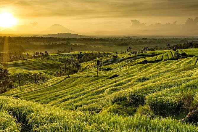 More Complete: Discover Bali In 3 Days Private Tour Package - Day 3: Tirta Gangga, Lempuyang’s Gate of Heaven, rice-paddy lunch, Kanto Lampo