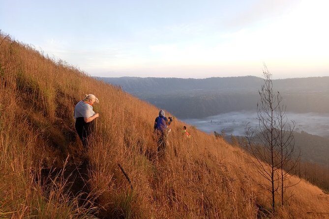 Mount Batur Sunrise Trekking Guide - Coffee plantation stop: why it’s not just a tourist add-on