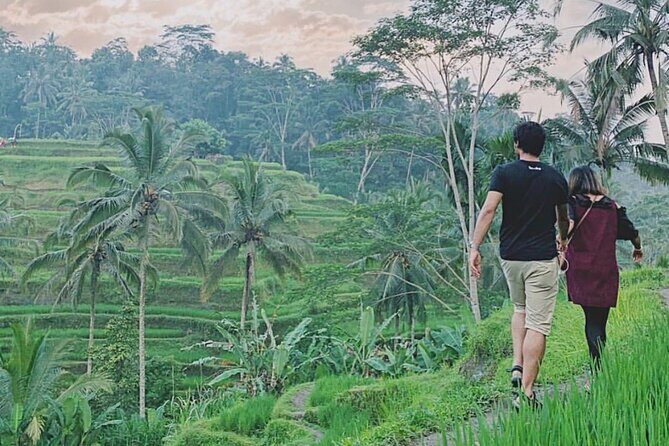 Mount Batur Sunrise Trekking Private Guide - After the crater: Istana Tampak Siring and Kintamani views
