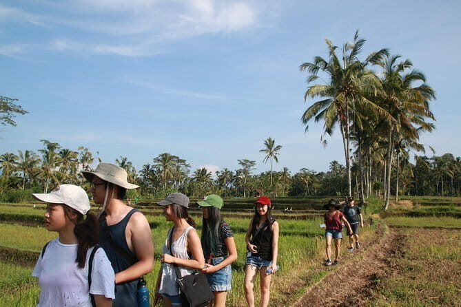 Mt Batur Sunrise Jeep & Natural Hot Spring Tour - The kind of travelers who’ll love this most