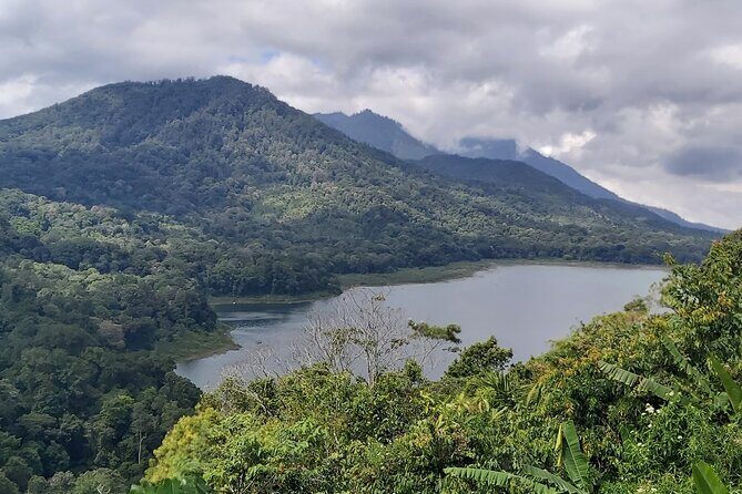 North Bali Private Tour - All Inclusive - North Bali in One Day: what this private tour is really good at