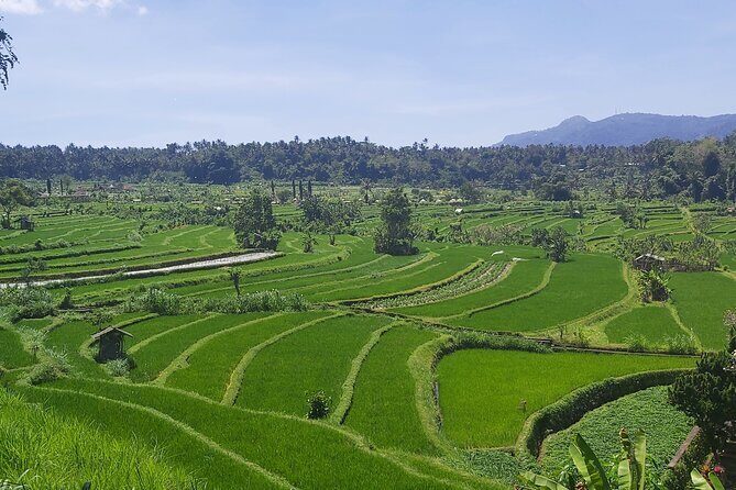 North Bali Private Tour - All Inclusive - Stop 2: Handara Iconic Gate for that mountain-view photo