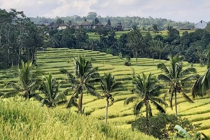 North Bali Private Tour - All Inclusive - Stop 3: Twin Lake Viewpoints over Buyan and Tamblingan