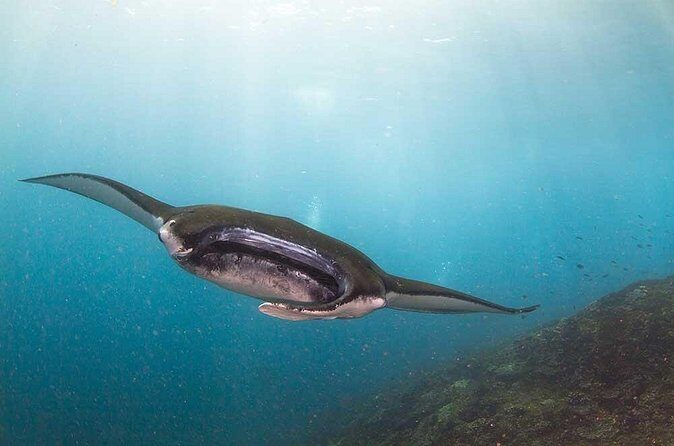 Nusa Penida 3 Fun Dives Boat Trip (For Certified Divers) - Respect for the Water: Why It Shows Up in Your Experience