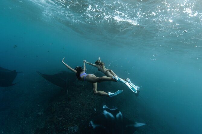️Nusa Penida by Private Boat - Snorkeling 4 spots, Swim with Mantas + Land Tour - Key highlights you’ll feel on the day