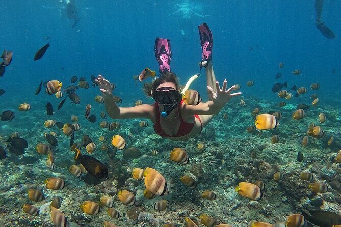 ️Nusa Penida by Private Boat - Snorkeling 4 spots, Swim with Mantas + Land Tour - SD Point: where turtles and schooling fish often show up