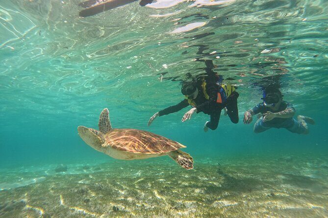 Nusa Penida & Gili Trawangan 3Days 2Night (Snorkeling) - Nusa Penida viewpoint day: Atuh, Diamond, Three House, and Kelingking