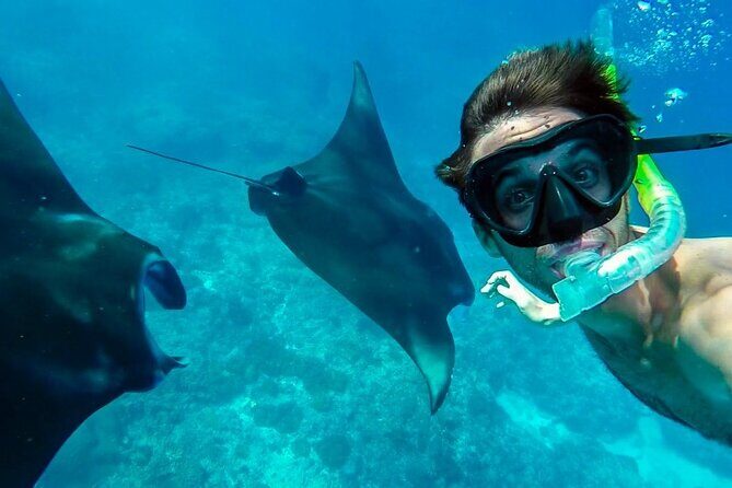 Nusa Penida Snorkeling 3 Point with Manta Bay & Land Tour - Snorkeling on Penida: Manta Bay, Gamat, and Crystal Bay (and how to set expectations)