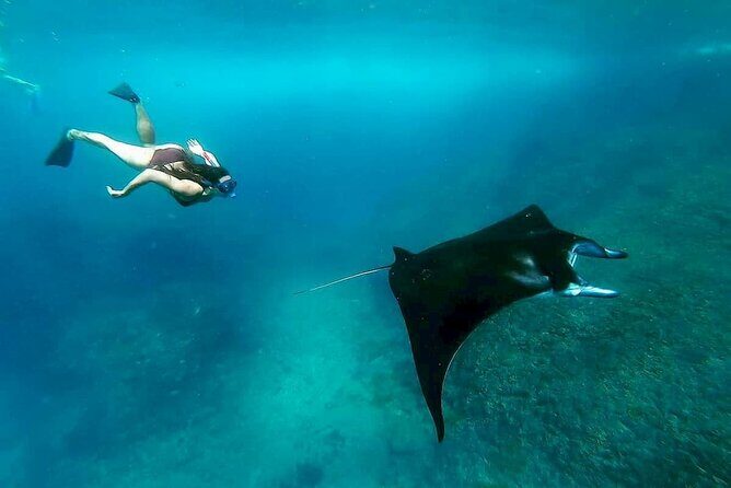 Nusa Penida Snorkeling 3 Point with Manta Bay & Land Tour - Sanur to Nusa Penida by fast boat: speed versus comfort