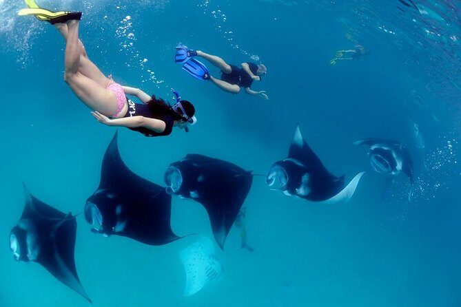 Nusa Penida Snorkeling Adventure (Private & All-Inclusive) - 6:00 am pickup and port logistics: the part you usually regret