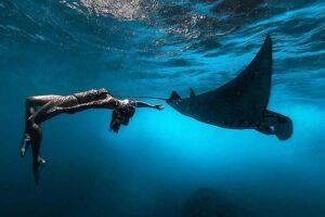 Nusa Penida Snorkeling Adventure (Private & All-Inclusive) - Snorkeling day essentials: what you get besides a wet mask