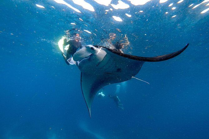 Nusa Penida Snorkeling Adventure (Private & All-Inclusive) - Staff workflow: guides, GoPro timing, and why organization changes everything