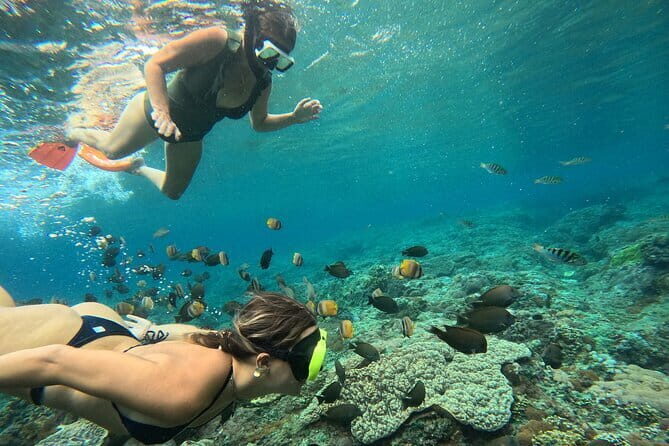 Nusa Penida : Snorkeling Trip Manta Point, Gamat Bay and Wall Bay - Key highlights worth caring about