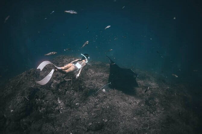 Nusa Penida : Snorkeling Trip Manta Point, Gamat Bay and Wall Bay - Stop 2: Gamat Bay for reef life and colorful fish
