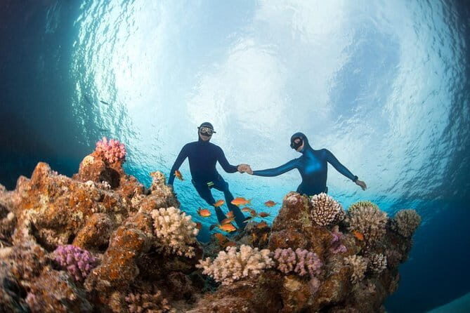 Nusa Penida : Snorkeling Trip Manta Point, Gamat Bay and Wall Bay - Gear, photos, and the part you should prep yourself