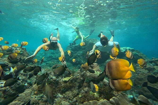 Nusa Penida : Snorkeling Trip Manta Point, Gamat Bay and Wall Bay - Entering the right kind of Nusa Penida snorkeling day