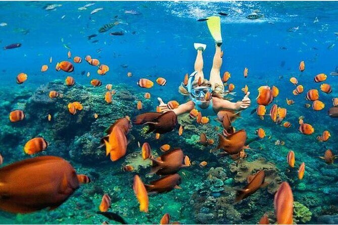 Nusa Penida Trip with Snorkeling all-Inclusive - Key Points Before You Go
