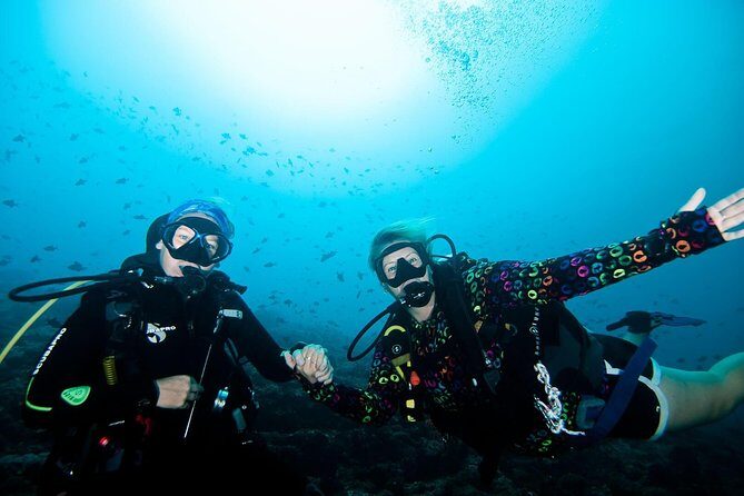 Nusa Penida Try Scuba Diving Program - for Non-Certified Divers - Key things I’d bank on before you book