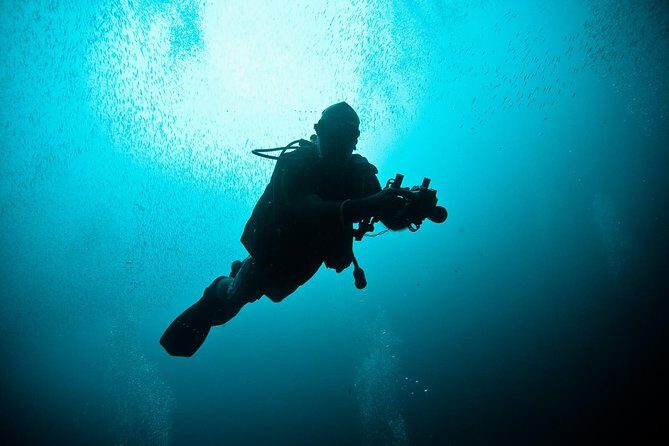 Nusa Penida Two Dives Trip for Certified Divers - Key things I’d plan around