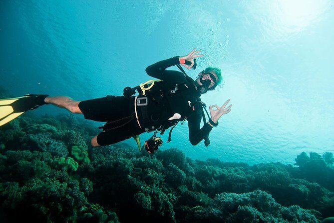 Nusa Penida Two Dives Trip for Certified Divers - The Nusa Penida “two stop” plan, and why it works