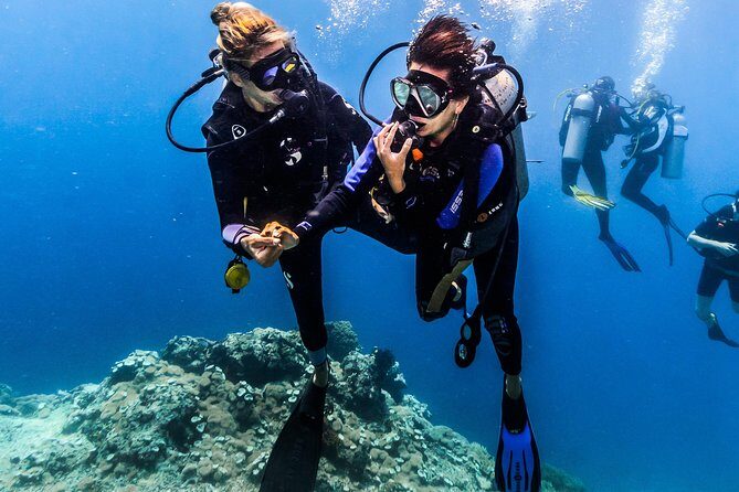 Open Water Course in Nusa Lembongan - Get Certified on remote island (next Bali) - Instruction quality: why the instructor names keep coming up