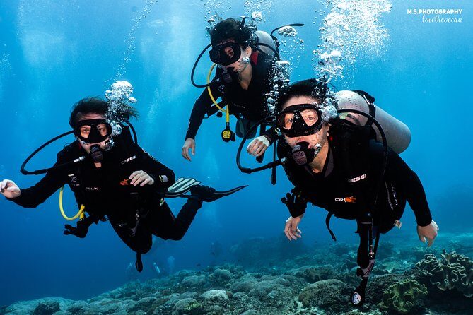 Open Water Course in Pemuteran - Get Certified in Bali - Why Pemuteran is such a practical place to get SSI certified