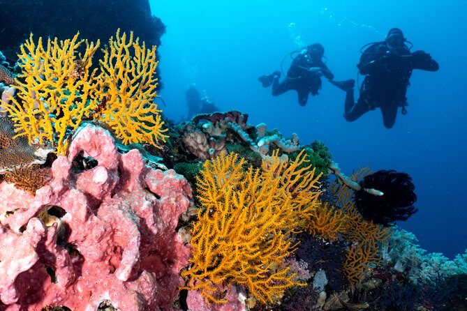 Open Water Course in Pemuteran - Get Certified in Bali - Who will you learn with? Instruction that helps you relax