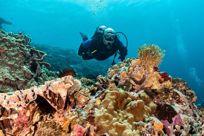 Open Water Course in Pemuteran - Get Certified in Bali - Price of $379.18: what you’re really paying for (and what to budget)