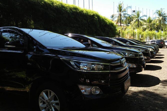 Private Bali Airport Arrival Transfer: Airport to Hotel (Arrival) - Meet Your Driver Fast: Signs, Pickup Confusion, and WhatsApp Clarity
