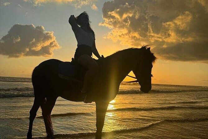 Private Bali Horse riding at saba beach - Price and value: is $43.79 worth it?