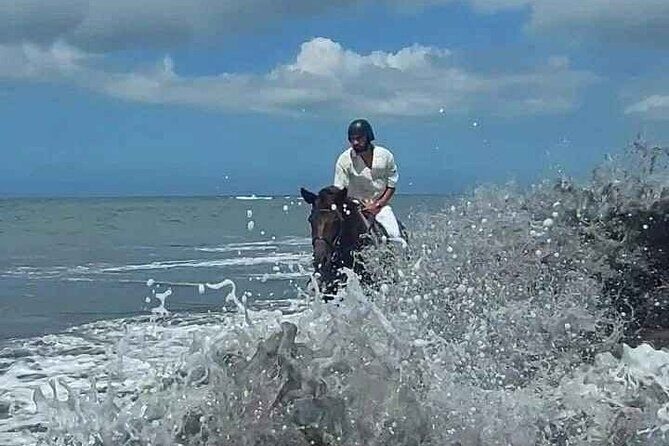 Private Bali Horse riding at saba beach - Who this suits best (and who should reconsider)