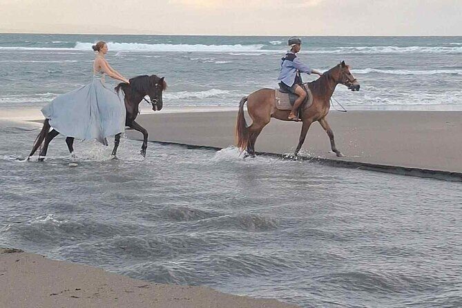 Private Bali Horse riding at saba beach - Should you book this Bali private horse ride?
